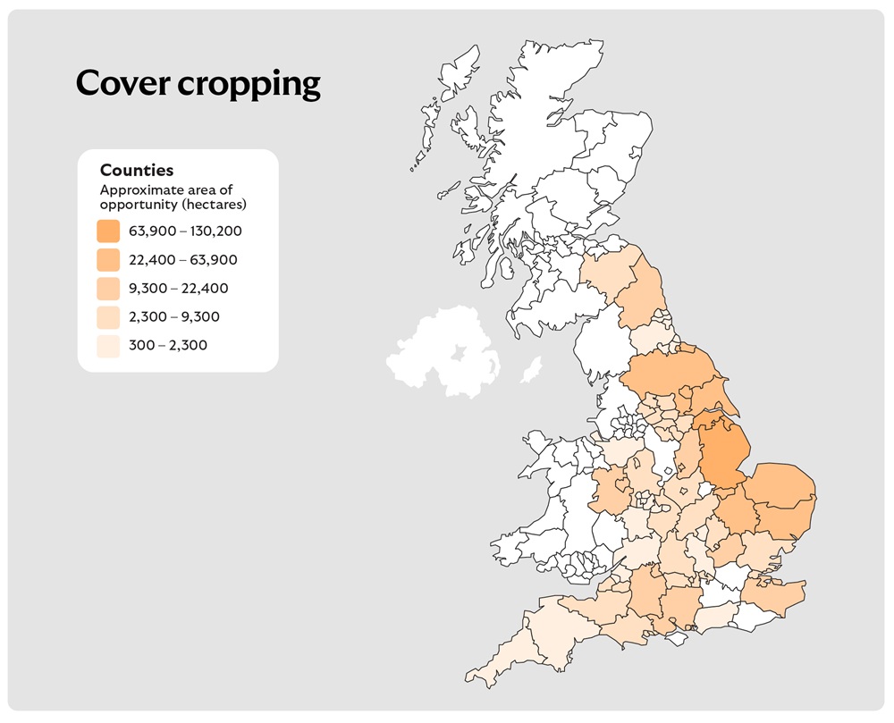 A map of the United Kingdom titled "Cover cropping", showing counties shaded in five shades of orange to represent approximate areas of opportunity for cover cropping in hectares. The legend on the left categorises the ranges as follows:
Lightest orange: 300 – 2,300 ha
Second lightest orange: 2,300 – 9,300 ha
Middle orange: 9,300 – 22,400 ha
Second darkest orange: 22,400 – 63,900 ha
Darkest orange: 63,900 – 130,200 ha
The map visually indicates which counties have the greatest potential for implementing cover cropping practices based on these hectare ranges.