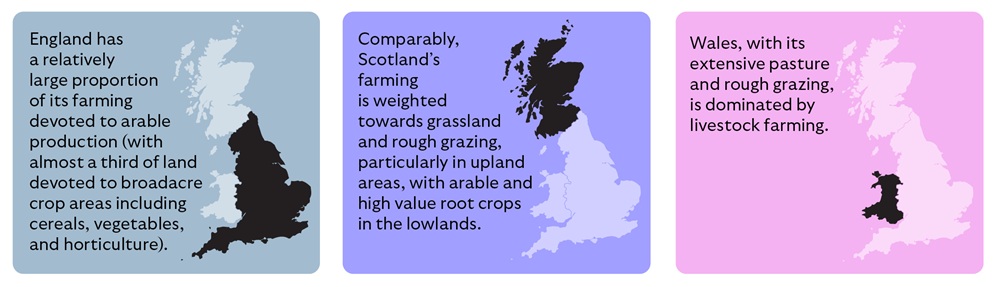 A three-panel infographic comparing farming practices across England, Scotland, and Wales, each with a coloured background and a UK map highlighting the relevant region in black.
The first panel, with a light blue background, highlights England and includes the text: "England has a relatively large proportion of its farming devoted to arable production (with almost a third of land devoted to broadacre crop areas including cereals, vegetables, and horticulture)."
The second panel, with a purple background, highlights Scotland and includes the text: "Comparably, Scotland's farming is weighted towards grassland and rough grazing, particularly in upland areas, with arable and high value root crops in the lowlands."
The third panel, with a pink background, highlights Wales and includes the text: "Wales, with its extensive pasture and rough grazing, is dominated by livestock farming."