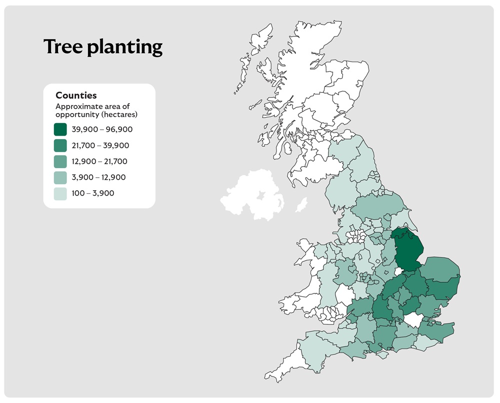 A map of the United Kingdom titled "Tree planting", displaying counties shaded in five shades of green to represent approximate areas of opportunity for tree planting in hectares. The legend on the left defines the ranges as follows:
Very light green: 100 – 3,900 ha
Light green: 3,900 – 12,900 ha
Medium green: 12,900 – 21,700 ha
Medium dark green: 21,700 – 39,900 ha
Dark green: 39,900 – 96,900 ha
The map visually identifies regions with varying potential for tree planting based on these hectare categories.